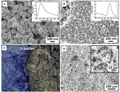 Raman Spectroscopy and Surface Enhanced Raman Scattering (SERS) for the Analysis of Blue and Black Writing Inks: Identification of Dye Content and Degradation Processes